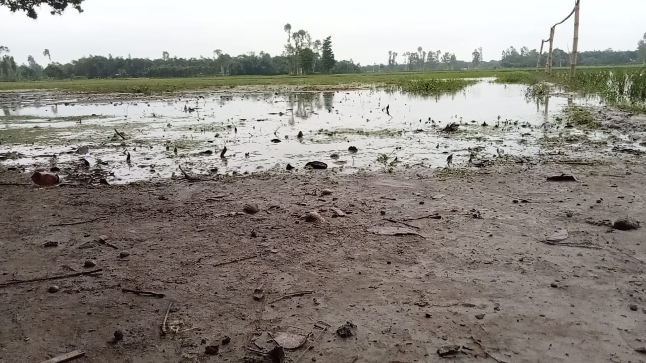 ১০০ শতাংশ জমিতে পানি না দেওয়ায় বিভিন্ন দপ্তরে লিখিত অভিযোগ, মেলেনি সমাধান