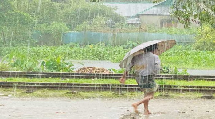 Rain