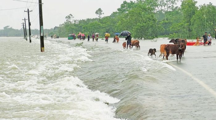 flood