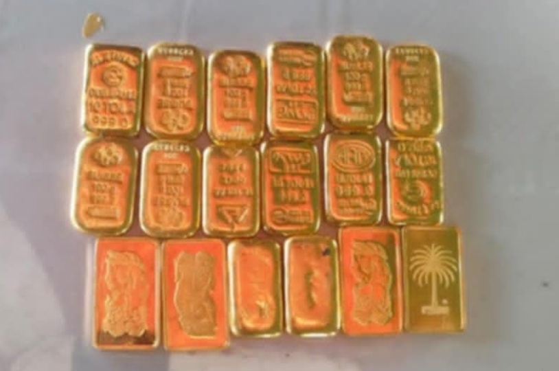 মুজিবনগরে ১৮ টি স্বর্ণের বারসহ ভারতীয় নাগরিক আটক