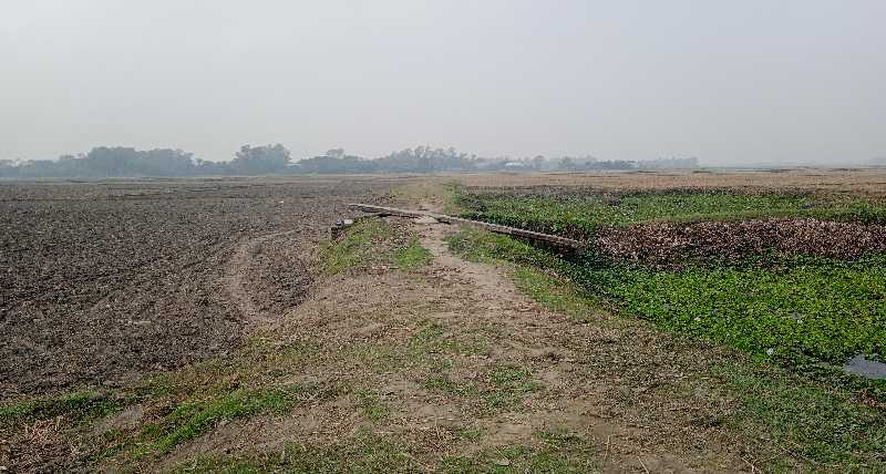 মুড়িয়াউকের কাঁচা রাস্তা ও কালভার্টের বেহাল দশা, ভোগান্তিতে ৩ গ্রামের মানুষ