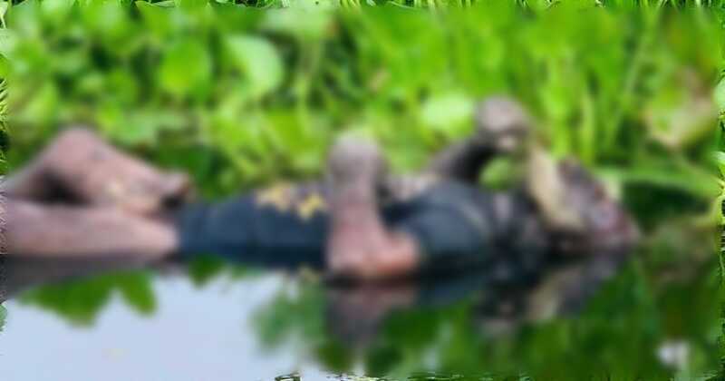 টাংগাইলের নাগরপুরে অজ্ঞাত ব্যক্তির লাশ উদ্ধার