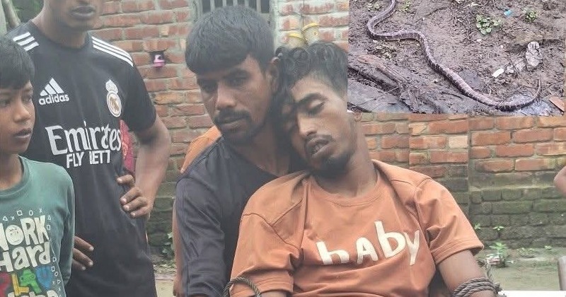 আত্রাইয়ে বিষধর সাপে কামড়ে যুবকের করুণ মৃত্যু