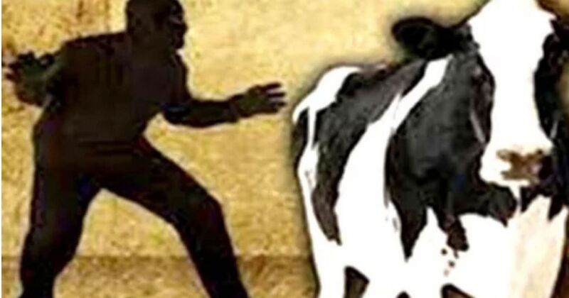 রাণীনগরে তালা কেটে খামার থেকে গরু-মহিষ চুরি