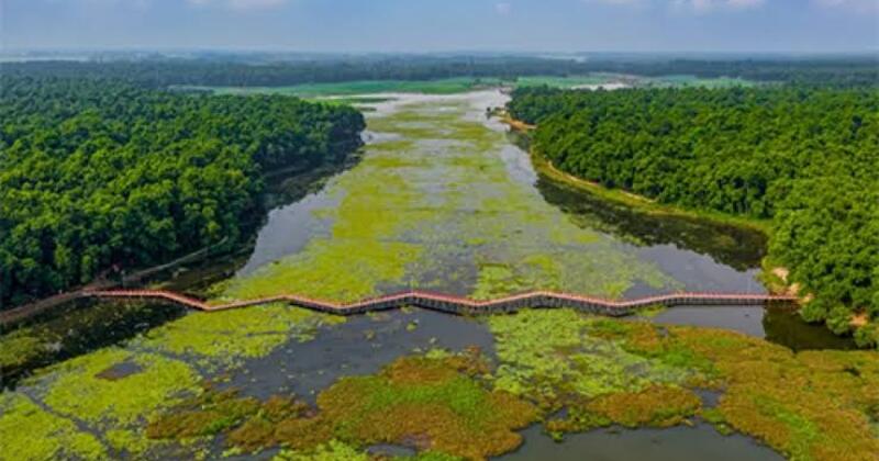 নবাবগঞ্জে জাতীয় উদ্যান আশুরার বিলে দেশীয় প্রজাতির মাছ উৎপাদনের সম্ভাবনা