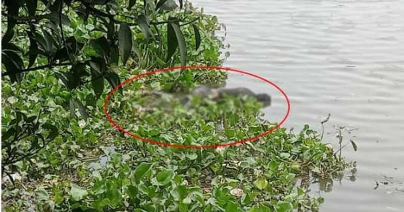 চাঁপাইনবাবগঞ্জে মহানন্দা নদীতে ভাসমান অবস্থায় অজ্ঞাত ব্যক্তির মরদেহ উদ্ধার