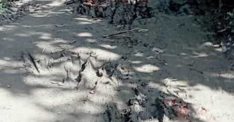 কেন্দুয়ায় নামমাত্র কাজ করেই প্রকল্পের বিল উত্তোলন করলেন ইউপি সদস্য হলুদ মিয়া