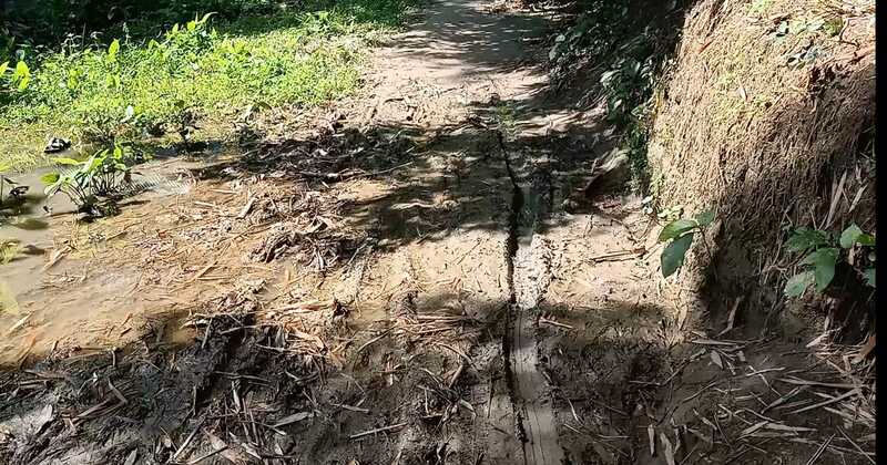 বদলগাছীতে কাগজে কলমে রাস্তা, বাস্তবে নেই কোনো রাস্তা! 