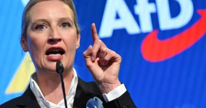 জার্মানির স্থানীয় নির্বাচনে শাসক সিডিইউ’র জয়, এএফডির সমর্থন বৃদ্ধি