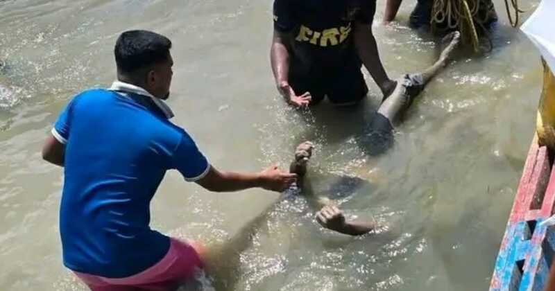 রাণীনগরে পিকনিকের নৌকা থেকে পড়ে নিখোঁজ কিশোরের লাশ উদ্ধার