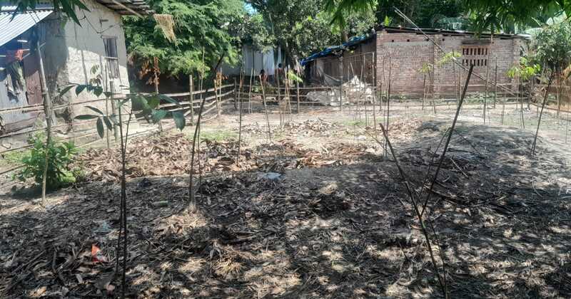 বদলগাছীতে জমি বিক্রির তথ্য গোঁপন করে খারিজ করার অভিযোগে খারিজ বাতিলের আবেদন।