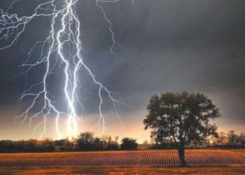 রাণীনগরে বজ্রপাতে একজনের মৃত্যু