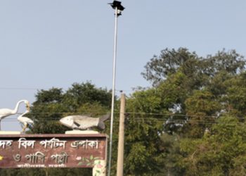 রাণীনগরে রক্তদহ বিলের পাখি পল্লীতে নজরদারির জন্য ক্যামেরা স্থাপন