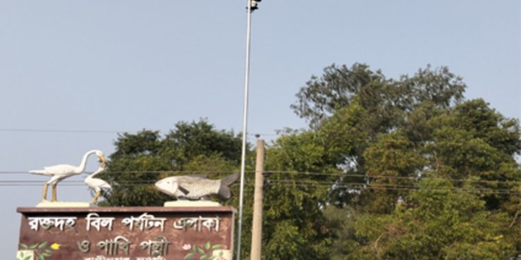 রাণীনগরে রক্তদহ বিলের পাখি পল্লীতে নজরদারির জন্য ক্যামেরা স্থাপন